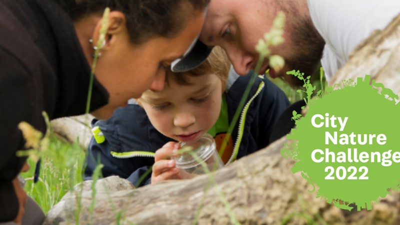 2 adults and a young child peering at a log